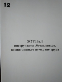 Журнал инструктажа обучающихся, воспитанников по охране труда 