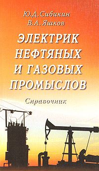 Электрик нефтяных и газовых промыслов   2008