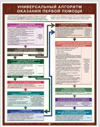 Универсальный алгоритм оказания первой помощи. 1л. ламинир. 465х600мм