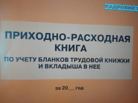 Приходно-расходная книга по учету бланков трудовой книжки и вкладыша в нее